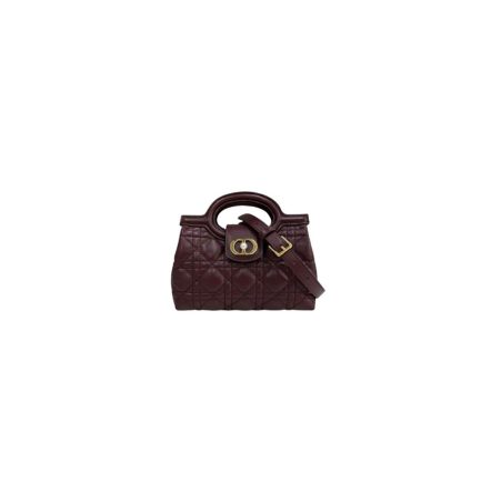 Dior Jolie Top Handle Mini Bag
